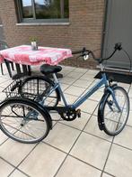 Driewieler voor volwassenen + spiegel, Vélos & Vélomoteurs, Vélos | Tricycles pour enfants, Comme neuf, Eco-strike, Enlèvement