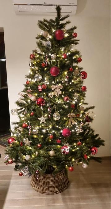 Kerstboom Triumph (215cm hoog) te koop beschikbaar voor biedingen
