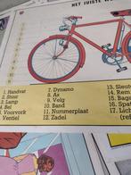 Oude schoolwandplaten, Antiek en Kunst, Ophalen