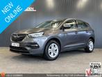 Opel Grandland X 1.5 CDTi Business Executive | € 9.800,- NET, Auto's, Opel, 107 g/km, Bedrijf, Electronic Stability Program (ESP)