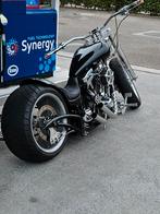 Harley davidson  300 band, Particulier