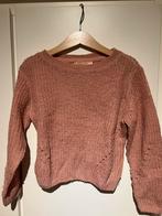 Roze trui Someone - maat 110, Gebruikt, Meisje, Trui of Vest, Ophalen of Verzenden