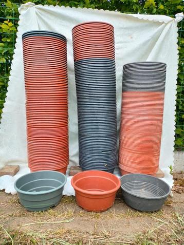 Grote plantenschotels in mooie kleuren doormeter 24 - 26 cm beschikbaar voor biedingen