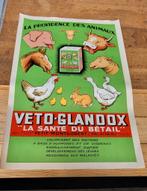 Oude Diereneten affiche Jaren 50, Ophalen of Verzenden