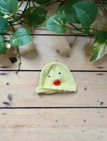 Babymuts eendje beschikbaar voor biedingen