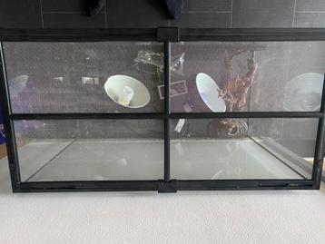 Terrarium beschikbaar voor biedingen