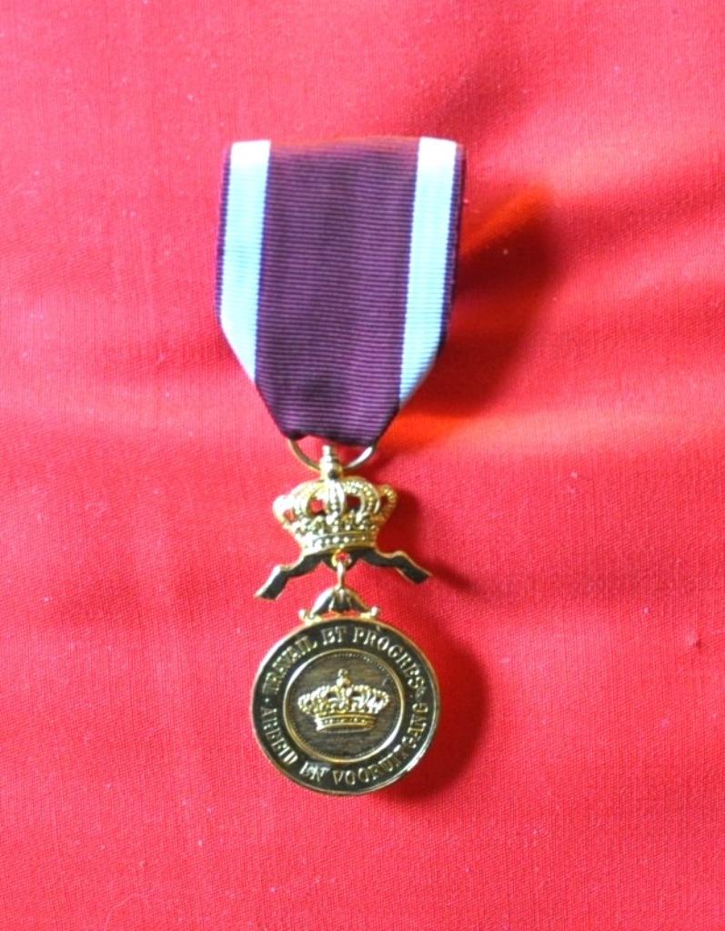 medaille travail et progré, Enlèvement ou Envoi, Autres matériaux