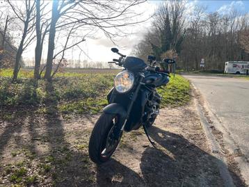 Brutal 920, Plus de 35 kW, Particulier, 4 cylindres, 920 cm³