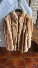 Bontjas Goude/beige vos, Kleding | Dames, Jassen | Winter, Beige, Maat 42/44 (L), Zo goed als nieuw, Ophalen