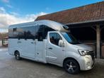 Mooie STX Dub.Cab. Hengstenuitvoering paardencamionette, Dieren en Toebehoren, Ophalen