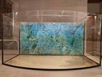 Aquarium + accessoires, Animaux & Accessoires, Poissons | Aquariums & Accessoires, Enlèvement