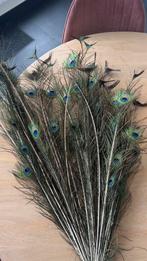 Pauwenveren, Huis en Inrichting, Woonaccessoires | Droogbloemen, Ophalen