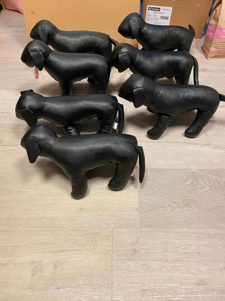 Chihuahua paspoppen aan outlet, Dieren en Toebehoren, Honden-accessoires, Zo goed als nieuw, Ophalen of Verzenden