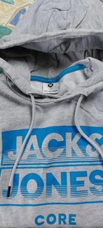 Hoodie, Ophalen of Verzenden, Gedragen, Overige maten, Overige kleuren