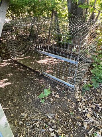 Cage   beschikbaar voor biedingen