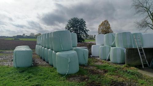 Mais balen, Articles professionnels, Agriculture | Aliments pour bétail, Enlèvement