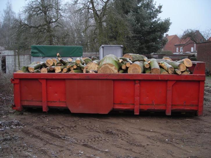 Brandhout, Tuin en Terras, Brandhout, Stammen, Overige houtsoorten, 6 m³ of meer, Ophalen of Verzenden