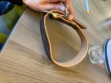 Halsband  beschikbaar voor biedingen
