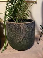 Grote bloempot, Ophalen, Zo goed als nieuw, Binnen