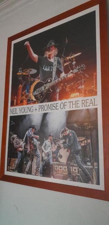 Neil Young/promise of the real, met kader