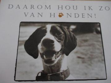 boek over honden beschikbaar voor biedingen