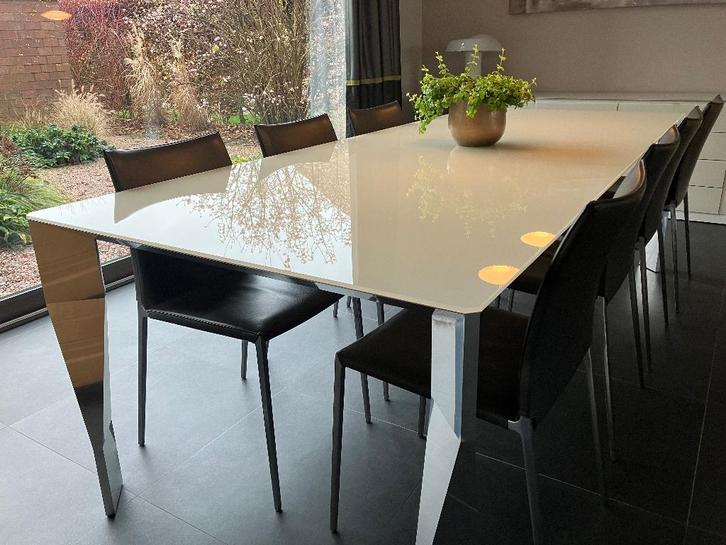 Tafel en 8 stoelen, Huis en Inrichting, Tafels | Eettafels, Zo goed als nieuw, 50 tot 100 cm, 200 cm of meer, Vijf personen of meer