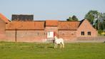 Paarden pension, Dieren en Toebehoren, Stalling en Weidegang, 2 of 3 paarden of pony's