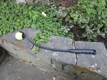 Ballenwerper voor honden beschikbaar voor biedingen