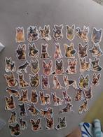 Stickers Duitse herder, Ophalen of Verzenden