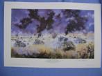 Operation Goodwood., Ophalen of Verzenden, Landmacht, Foto of Poster