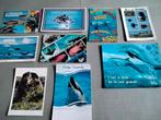 Lot van 20 ansichtkaarten "Diverse dieren" dolfijn, giraf..., Verzamelen, Postkaarten | Dieren, Ophalen of Verzenden, 1980 tot heden