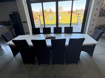 Grande Table de 3m avec 10 chaises, Enlèvement, Utilisé, 8 chaises ou plus