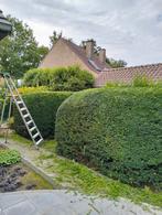 Tuinman/klusjes, Tuin en Terras, Overige Tuin en Terras, Ophalen