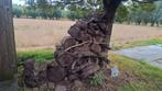 Brandhout eik, Tuin en Terras, Brandhout, Ophalen