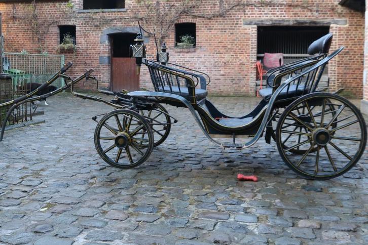 Lady Park Phaeton, Dieren en Toebehoren, Rijtuigen en Koetsen, Gebruikt, Overige typen, Pony
