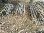 Weidepalen diverse, Dieren en Toebehoren, Weidegang