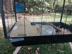 Hamsterkooi, Dieren en Toebehoren, Ophalen, Gebruikt, Kooi, Hamster