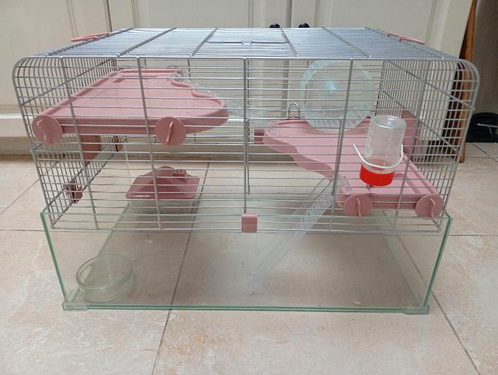 cage à hamster rose en parfait état, Animaux & Accessoires, Rongeurs & Lapins | Cages & Clapiers, Comme neuf, Cage, Moins de 60 cm