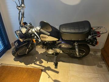 Honda Monkey 50 CC beschikbaar voor biedingen