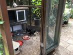 Ko Shamo kloek met kuikens, Dieren en Toebehoren, Ophalen, Zo goed als nieuw