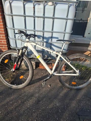 Professionele Club MountainBike ( teenagers )  beschikbaar voor biedingen
