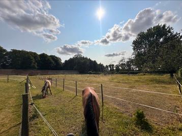 Weide te huur beschikbaar voor biedingen