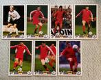 7 spelerskaarten België De Rode Duivels 1994, Spelerskaart, Ophalen of Verzenden, Zo goed als nieuw