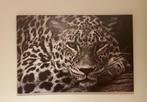 Panter fotoprint op canvas, Ophalen, Zo goed als nieuw, Foto of Poster