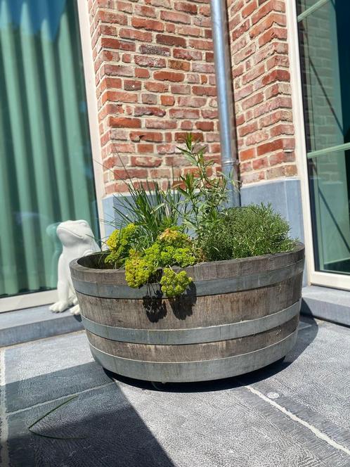 Boîte à fleurs en chêne d'un tonneau de vin ou de whisky, Jardin & Terrasse, Bacs à fleurs & Jardinières, Utilisé, Enlèvement ou Envoi