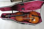 Violoncelle G. Bertoni 4/4, Musique & Instruments, Instruments à cordes frottées | Violoncelles, Comme neuf, Avec valise, Enlèvement ou Envoi