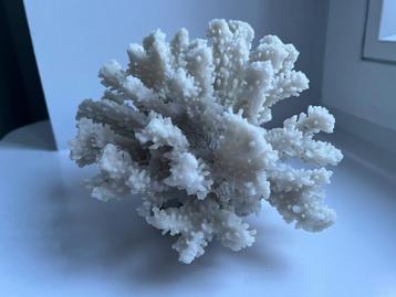 Corail decoration maison beschikbaar voor biedingen