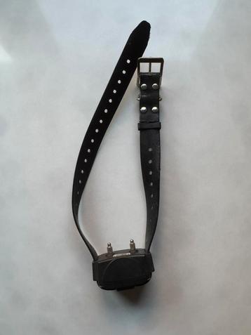 Collier de dressage Canicom 200 First – NUM’AXES beschikbaar voor biedingen