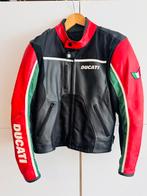 Ducati tricolore motorvest maat M, Motoren, Kleding | Motorkleding, Ophalen, Dainese, Dames, Jas | leer