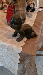 figurine de bébé en bronze, Antiquités & Art, Antiquités | Bronze & Cuivre, Enlèvement, Bronze